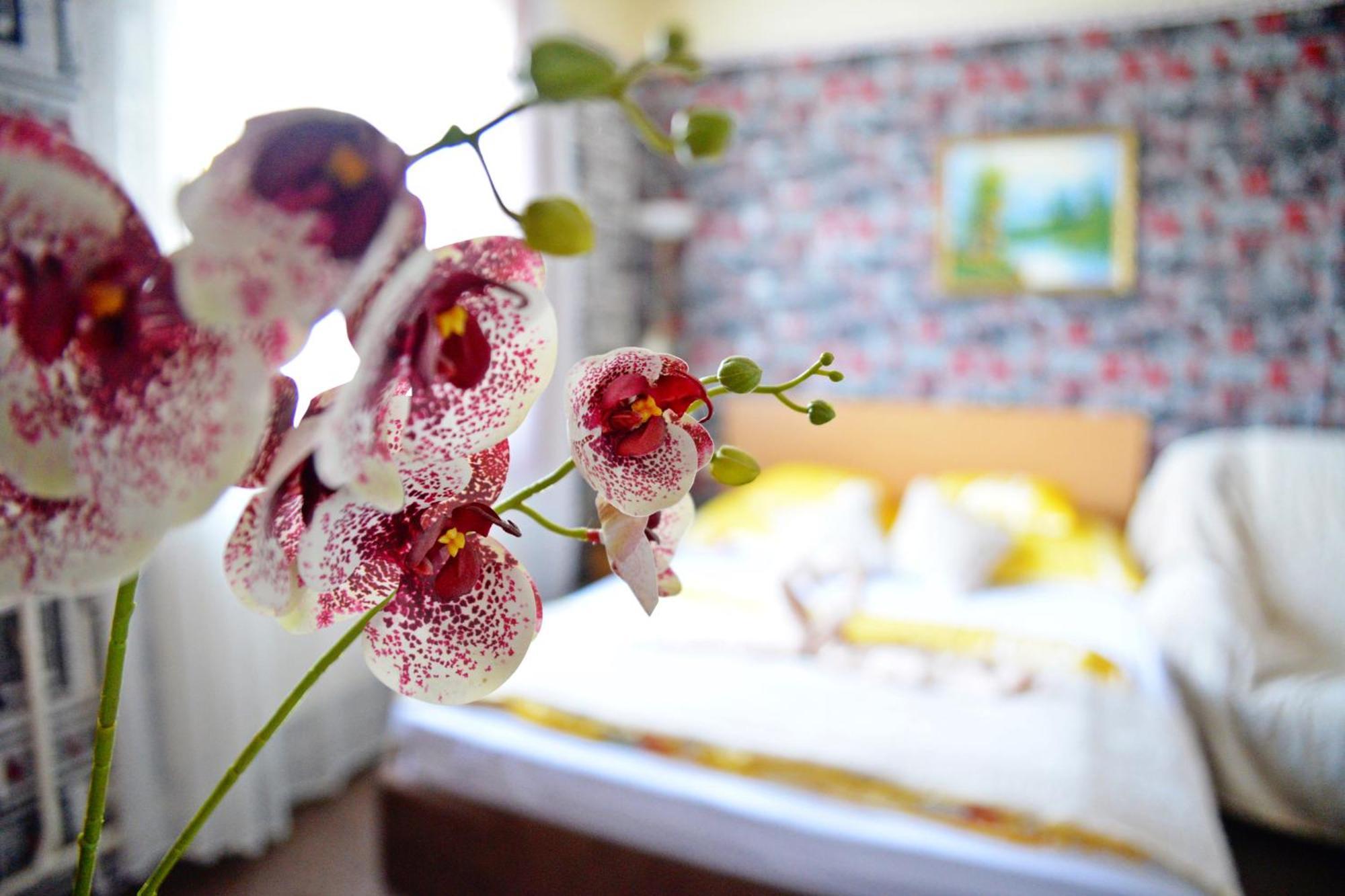 Jocó Panzió Hotel Nyiregyhaza Ngoại thất bức ảnh