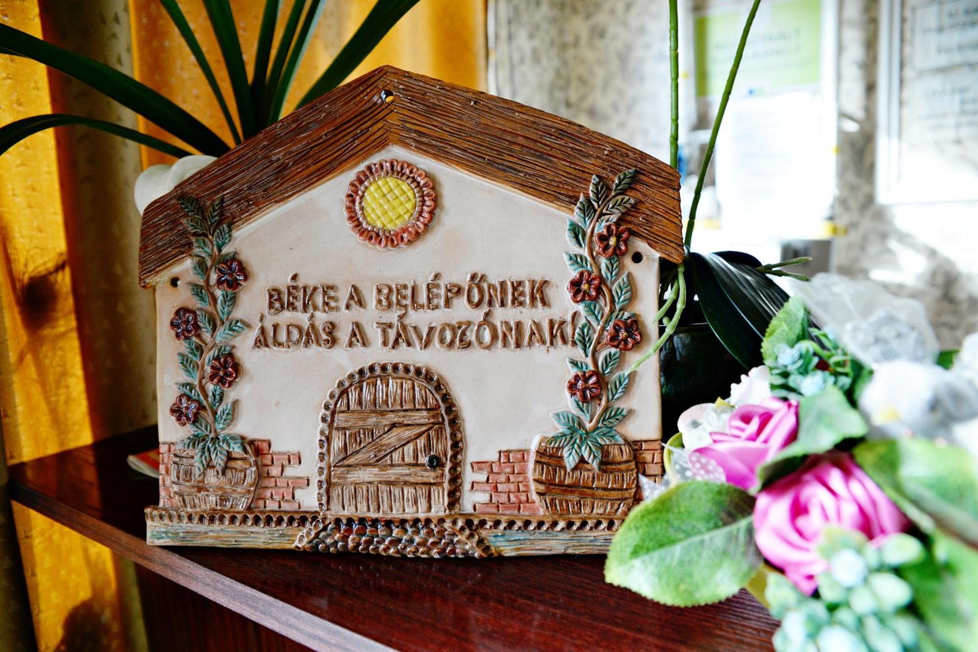 Jocó Panzió Hotel Nyiregyhaza Ngoại thất bức ảnh